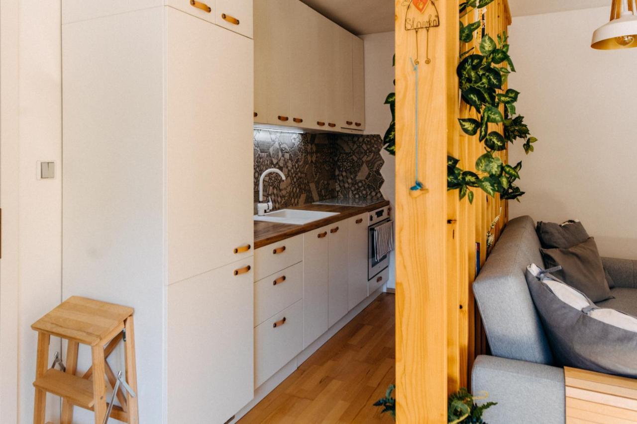 Apartmán v srdci Znojma „Jako doma“ Znojmo Esterno foto